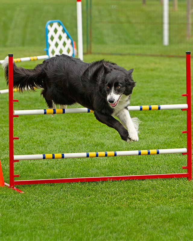 Jump